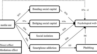 Application of Structural Analysis of Social Behavior Technology PDF