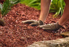 Where Can I Buy Garden Soil in Bulk Near Me