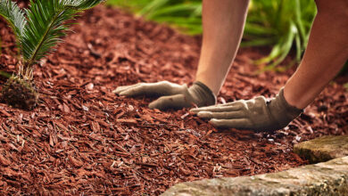 Where Can I Buy Garden Soil in Bulk Near Me