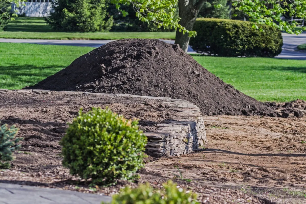 Where Can I Buy Garden Soil in Bulk Near Me? The Best Options for Your Garden