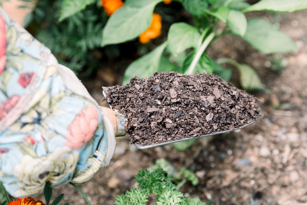 Where Can I Buy Garden Soil in Bulk Near Me? The Best Options for Your Garden