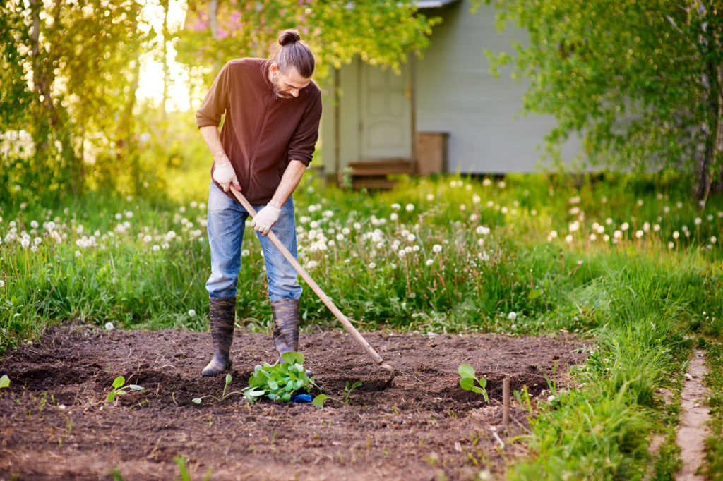 Everything You Need to Know About a Garden Hoe for Easy Gardening Everything You Need to Know About a Garden Hoe for Easy Gardening